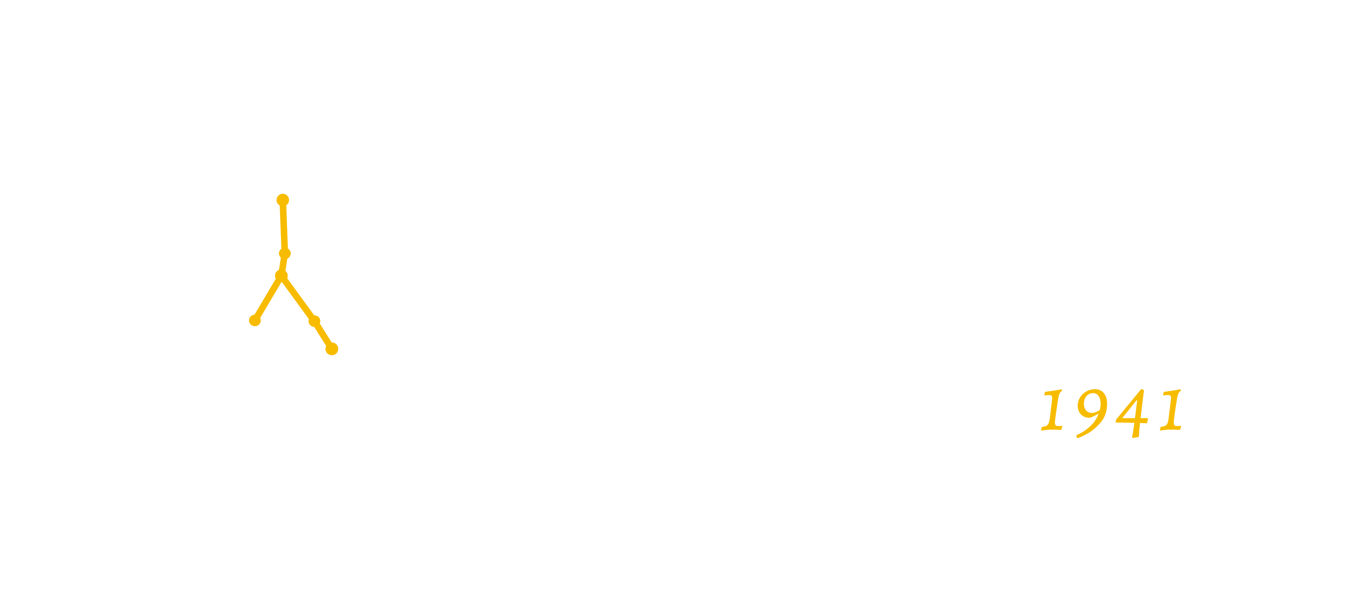 IRNERIO